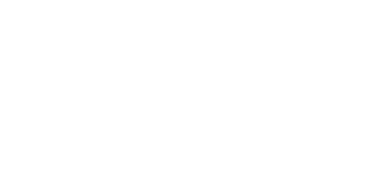 ICW Logo White- international child welfare